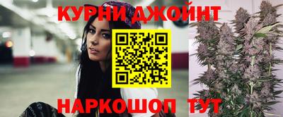 эйфоретик Кингисепп