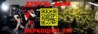 эйфоретик Кингисепп