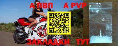 эйфоретик Кингисепп