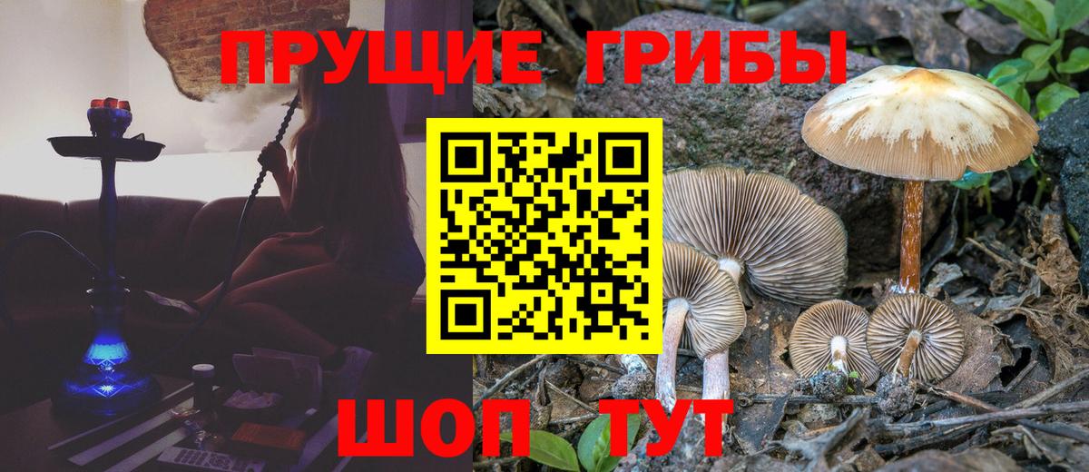 Галлюциногенные грибы GOLDEN TEACHER Норильск