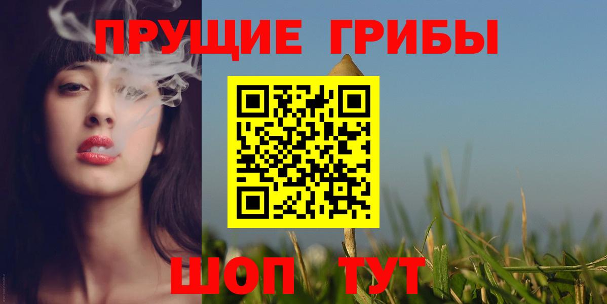 Норильск  Псилоцибиновые грибы Psilocybine cubensis  Вход с VPN 